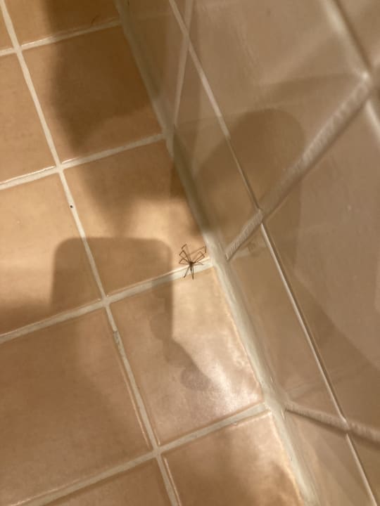 Zimmer Mercure Muenchen Ost Messe