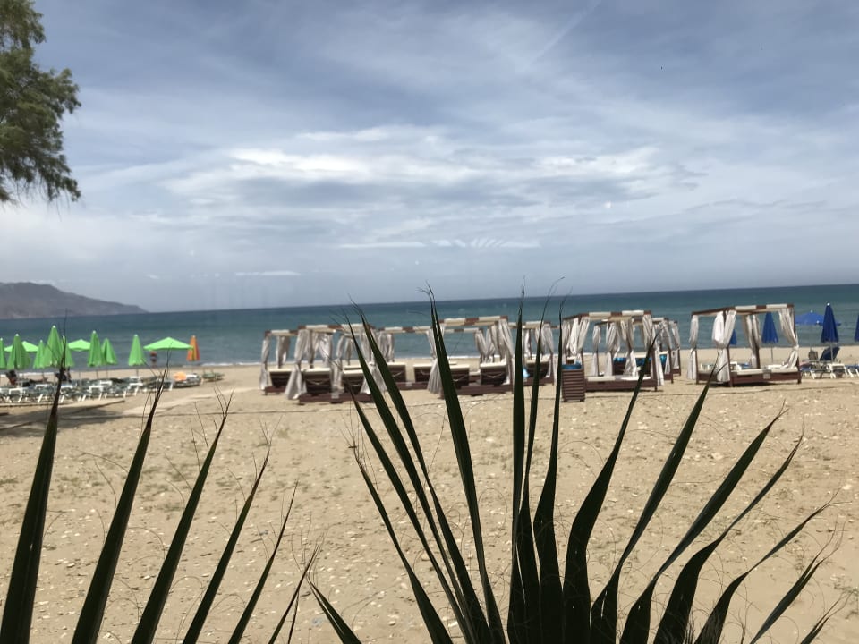 Strand HARPIN Happy Days Beach Hotel