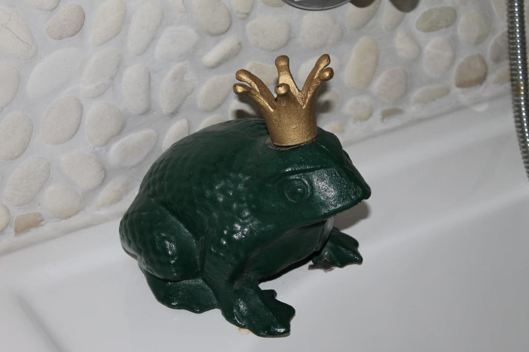 Frosch Märchenhotel