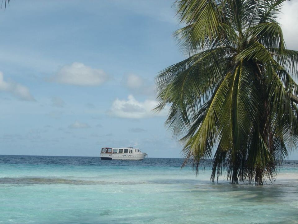 Einfach zum Träumen! Fihalhohi Maldives
