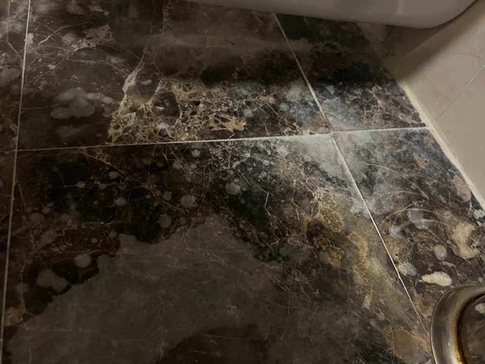 Zimmer PALOMA Perissia