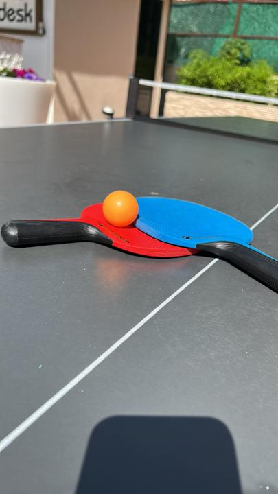 Pool Hotel Turan Prince