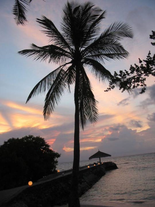 Palme im Abendrot Adaaran Select Hudhuran Fushi - Premium All Inclusive