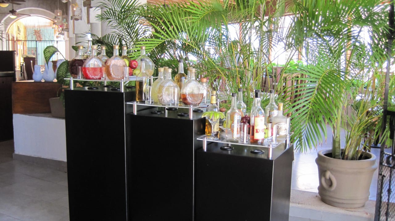 Cocktails Festival Sandos Playacar Beach Resort