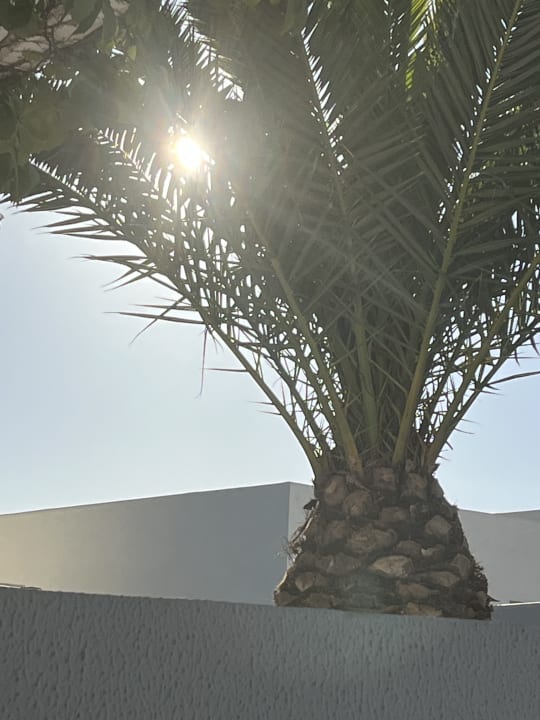 Gartenanlage Hotel Eva Bay