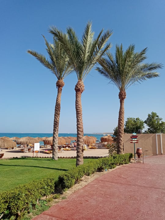 Strand Sentido Caribbean World Soma Bay