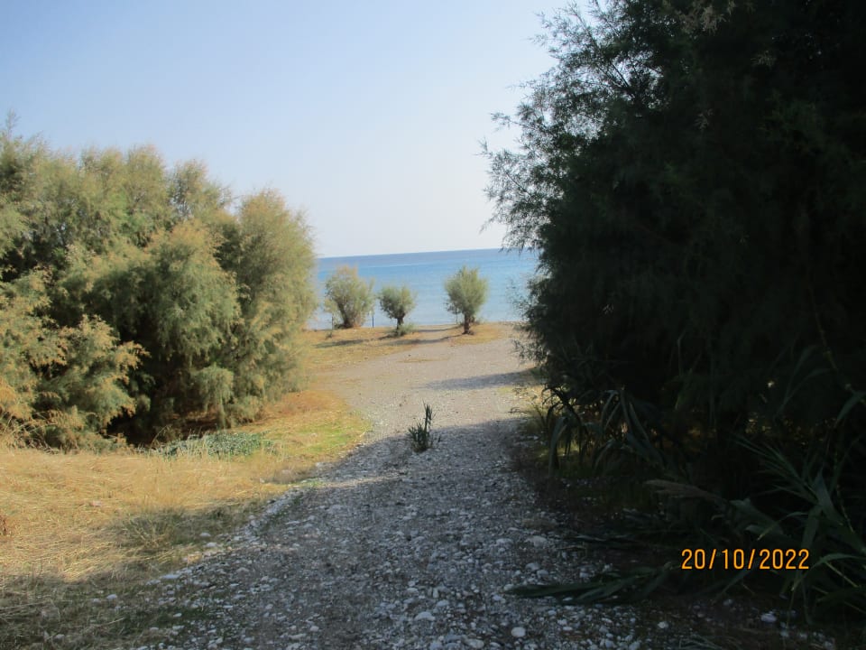 Gartenanlage Irene Palace Beach Resort Club alltoura