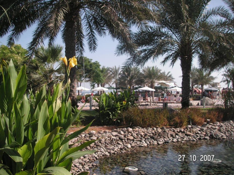 garten und pool Hotel Le Meridien Al Aqah Beach Resort