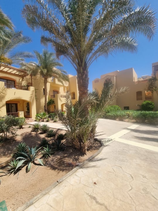 Gartenanlage Steigenberger Coraya Beach - Adults only