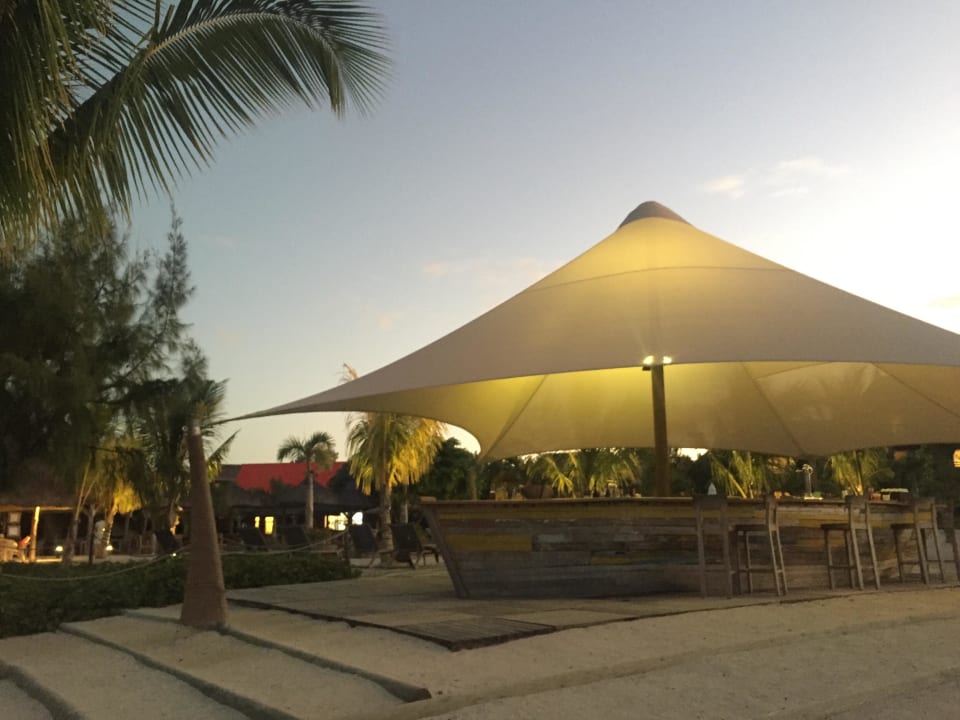 Strandbar Zilwa Attitude