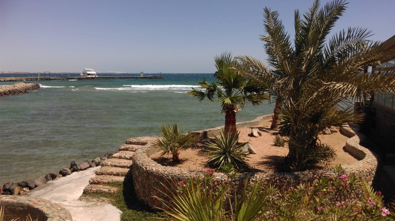 Blick auf´s Meer Desert Rose