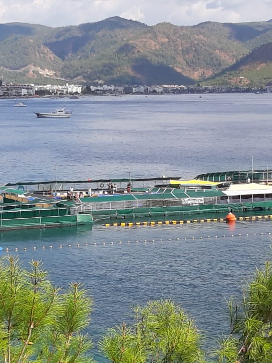 Ausblick Labranda Mares Marmaris