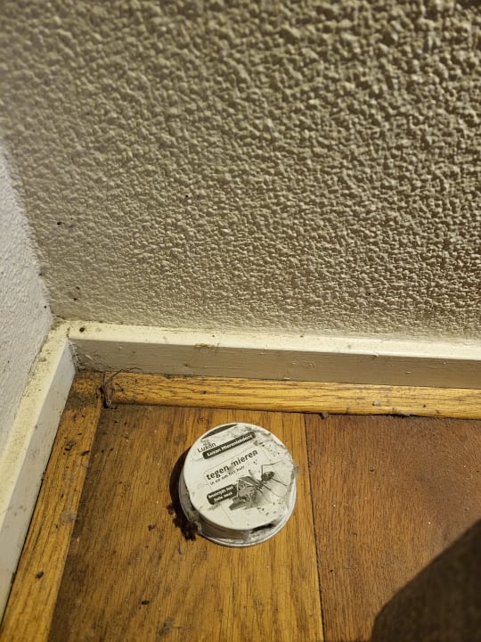 Zimmer Ferienpark Hof van Saksen