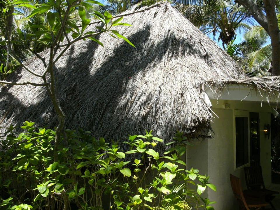 Bure Nr.2 Hotel Castaway Island Resort