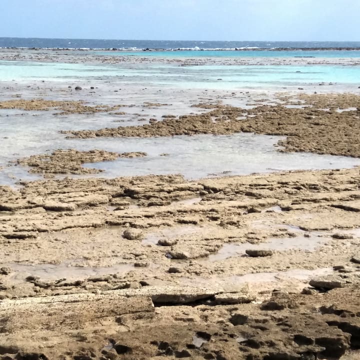 Strand Fantazia Resort Marsa Alam