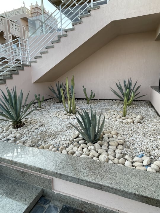 Außenansicht Pickalbatros Palace Resort