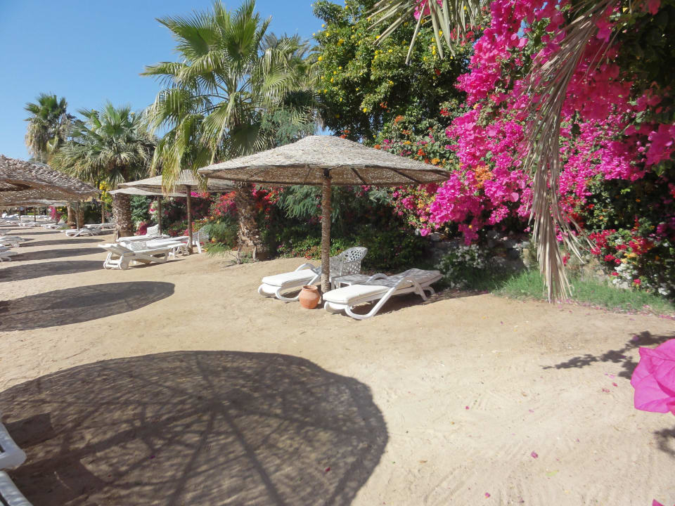Platz ohne Ende... Fort Arabesque Resort, Spa & Villas
