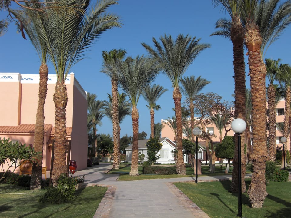 Palmenmeer Beach Albatros Resort