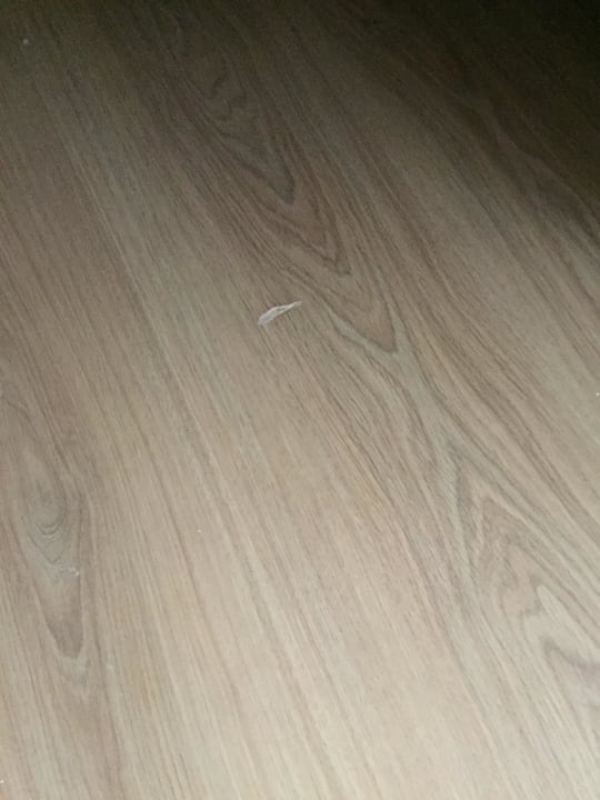 Neuer Laminat ? Dream World Aqua Hotel