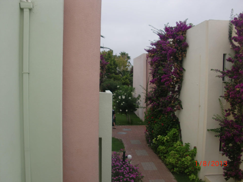 VON Club Golden Beach VONRESORT Golden Beach