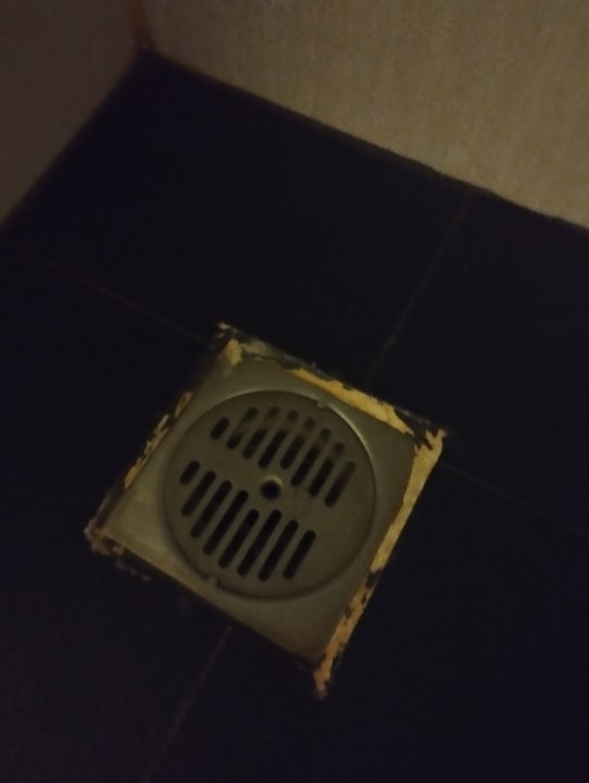 Zimmer Hotel Royal Bangkok