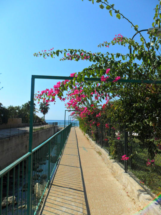Der Weg zum Strand My Home Resort