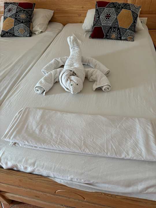 Zimmer Dream Lagoon Resort & Aqua Park