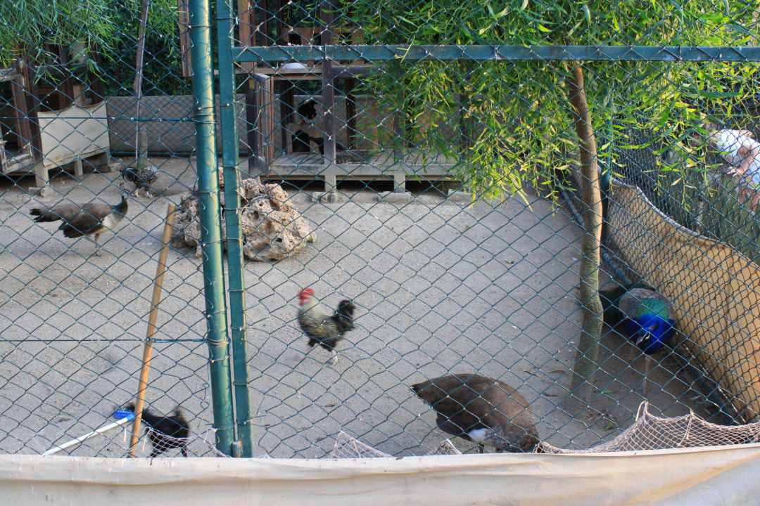 Beestjes Marvida Family Eco