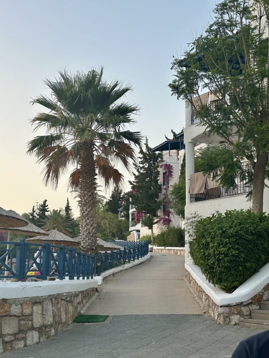 Außenansicht Bodrum Holiday Resort & Spa