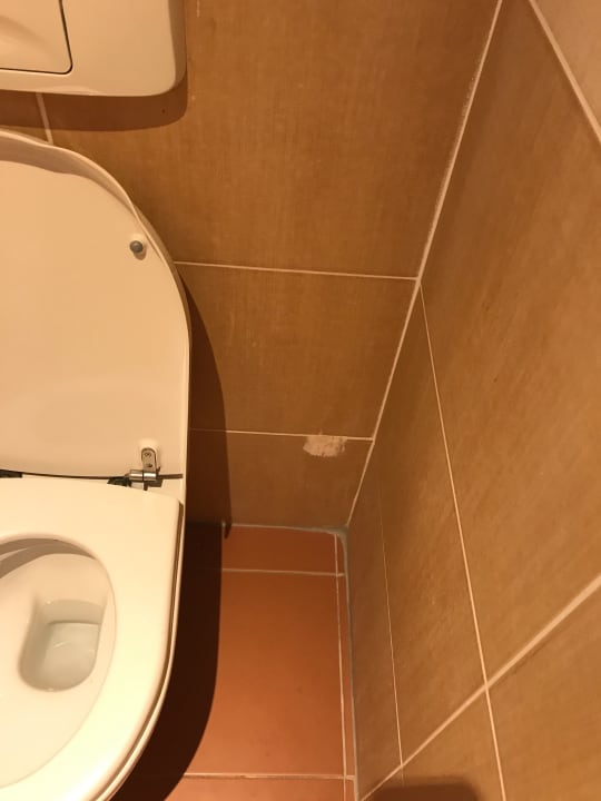 Zimmer Liberty Lykia Adults Only