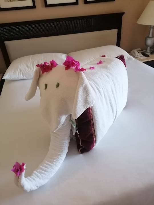 Sonstiges Jaz Solaya