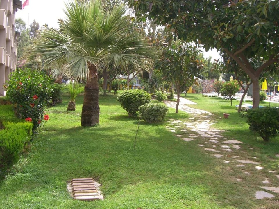 Gartenanlage Senza Sunset Beach Hotel