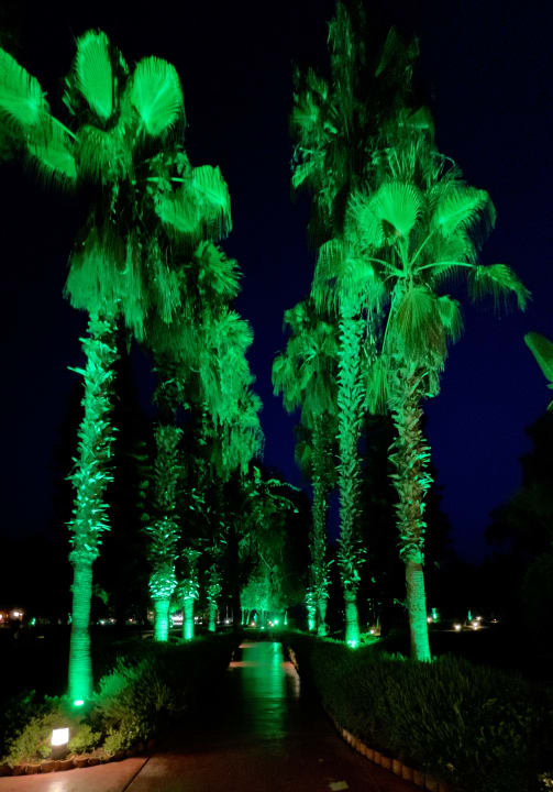 Gartenanlage TUI MAGIC LIFE Beldibi +16