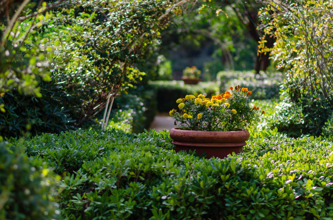 Gartenanlage Dionysos Hotel