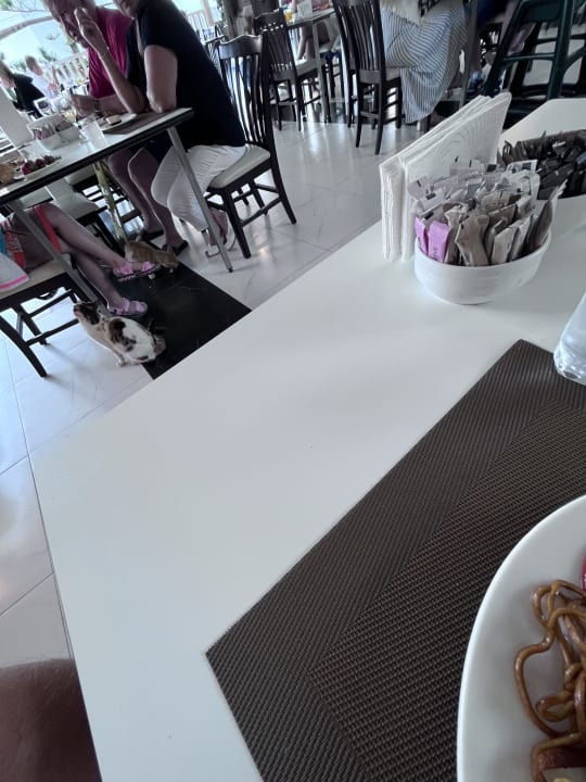 Gastro Crystal Flora Pearl Collection