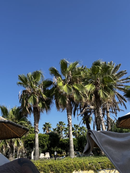 Gartenanlage Hotel Defne Garden