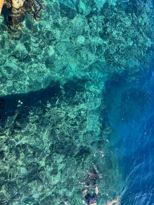 Strand Steigenberger Resort Alaya Marsa Alam - Red Sea - Adults only