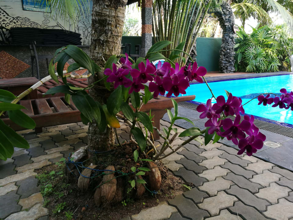 Außenansicht Hotel Bentota Village