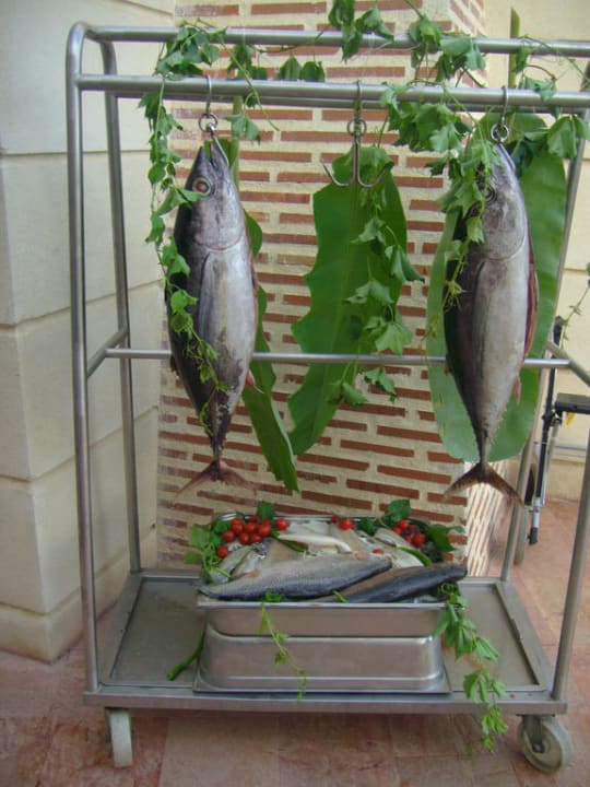 Frischer Fisch Trendy Palm Beach (Adults Only, 16+)