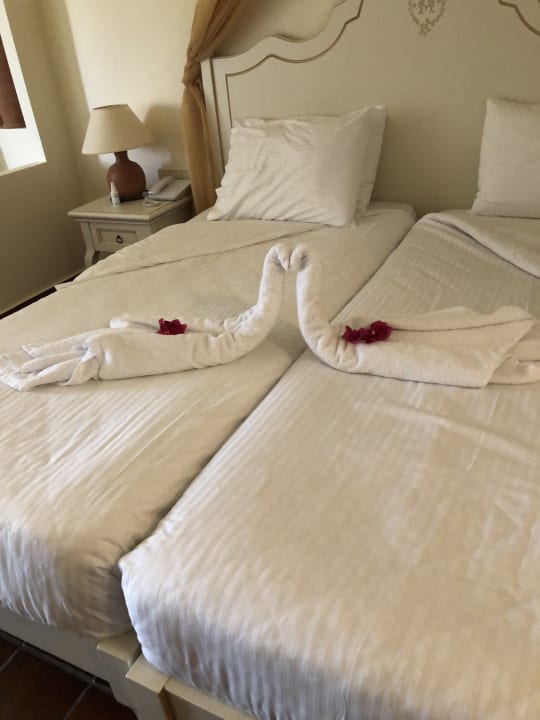 Zimmer Alexander Beach Hotel & Village Resort