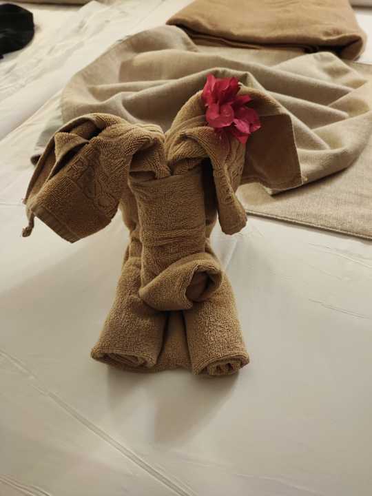 Zimmer SBH Hotel Taro Beach