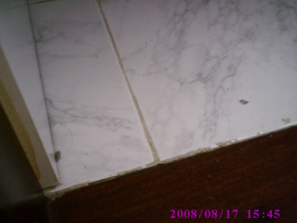 Dreck nur Dreck Hotel Europalace