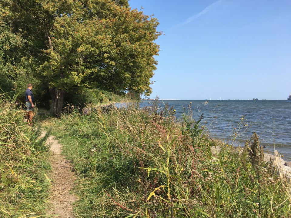 Strand Gut Buckhagen