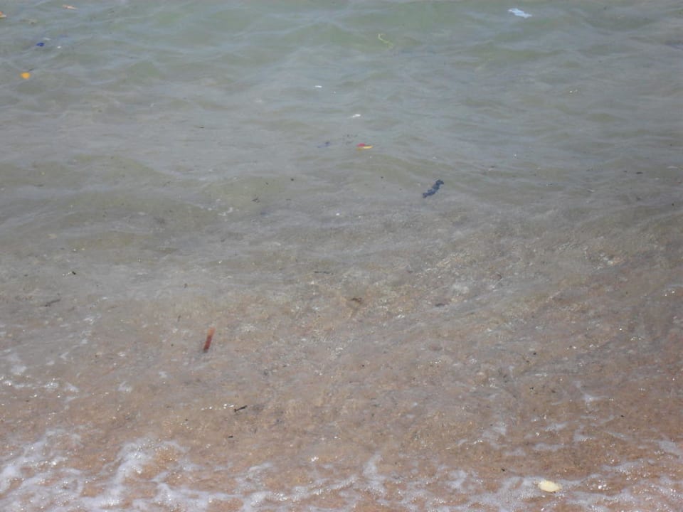 Smieci w wodzie przy plazy hotelowej  Desert Rose