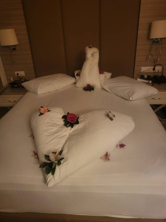 Zimmer Delphin Deluxe Resort