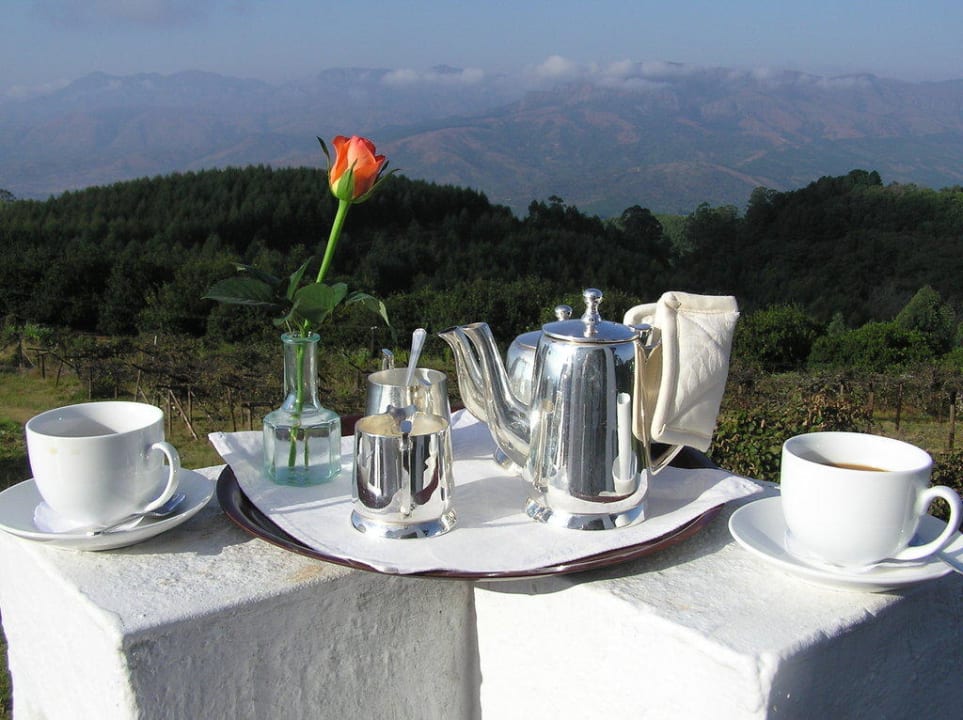 Early-Morning-Tea Hotel Coach House