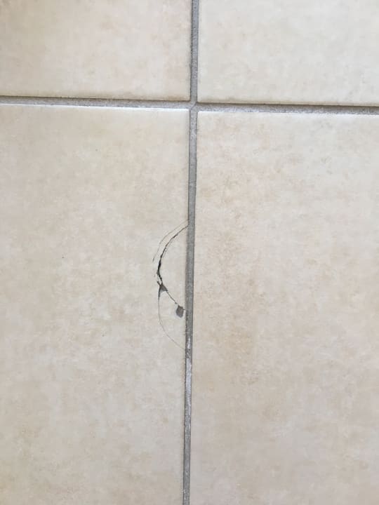 Zimmer ROBINSON DAIDALOS