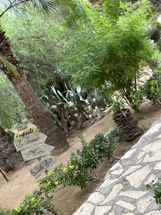 Gartenanlage Marhaba Royal Salem