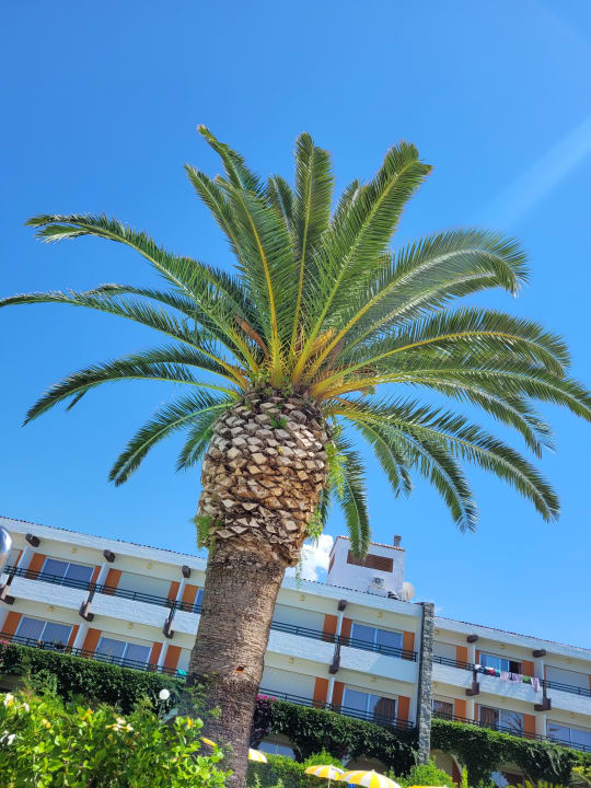 Sonstiges Aldiana Club Rocca Nettuno Calabria