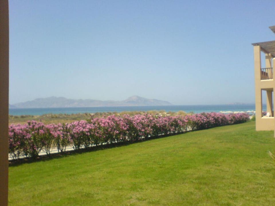 Zimmer mit Meerblick Hotel Horizon Beach Resort